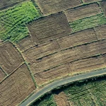 Ortaklığın Giderilmesi Davası (İzale-i Şuyu Davası) 1 Parselli taşınmaz arazinin havadan görünümü; ortaklığın giderilmesi (izale-i şuyu) davasında paydaşlığın tasfiyesini temsil eden görsel.