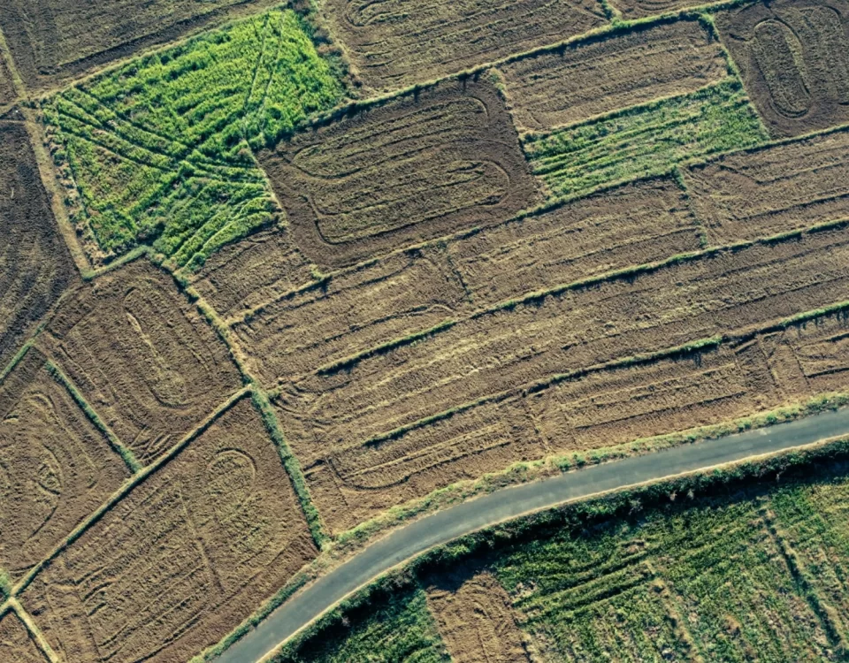 Parselli taşınmaz arazinin havadan görünümü; ortaklığın giderilmesi (izale-i şuyu) davasında paydaşlığın tasfiyesini temsil eden görsel.