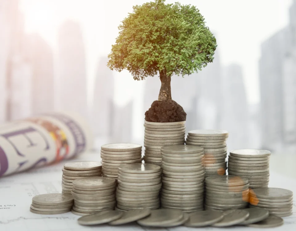 Yabancı yatırımcıların gayrimenkul alımı, mevduat hesabı veya sermaye yatırımı gibi finansal araçlarla istisnai yoldan yatırım yoluyla Türk vatandaşlığı kazanma süreçlerini, büyüme ve ekonomik yatırımı sembolize eden madeni paralar üzerindeki ağaç ve finansal doküman görseli.